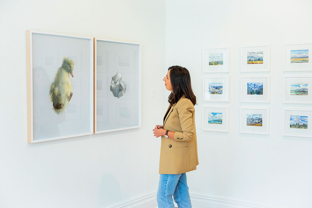 Susan Badcock in her gallery