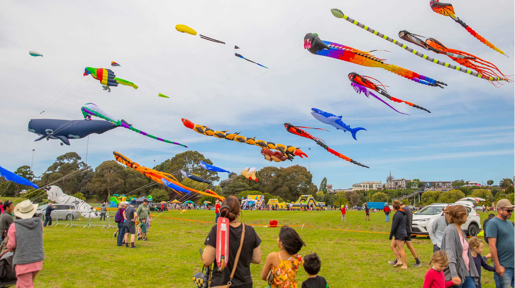 Seaside festival kite day