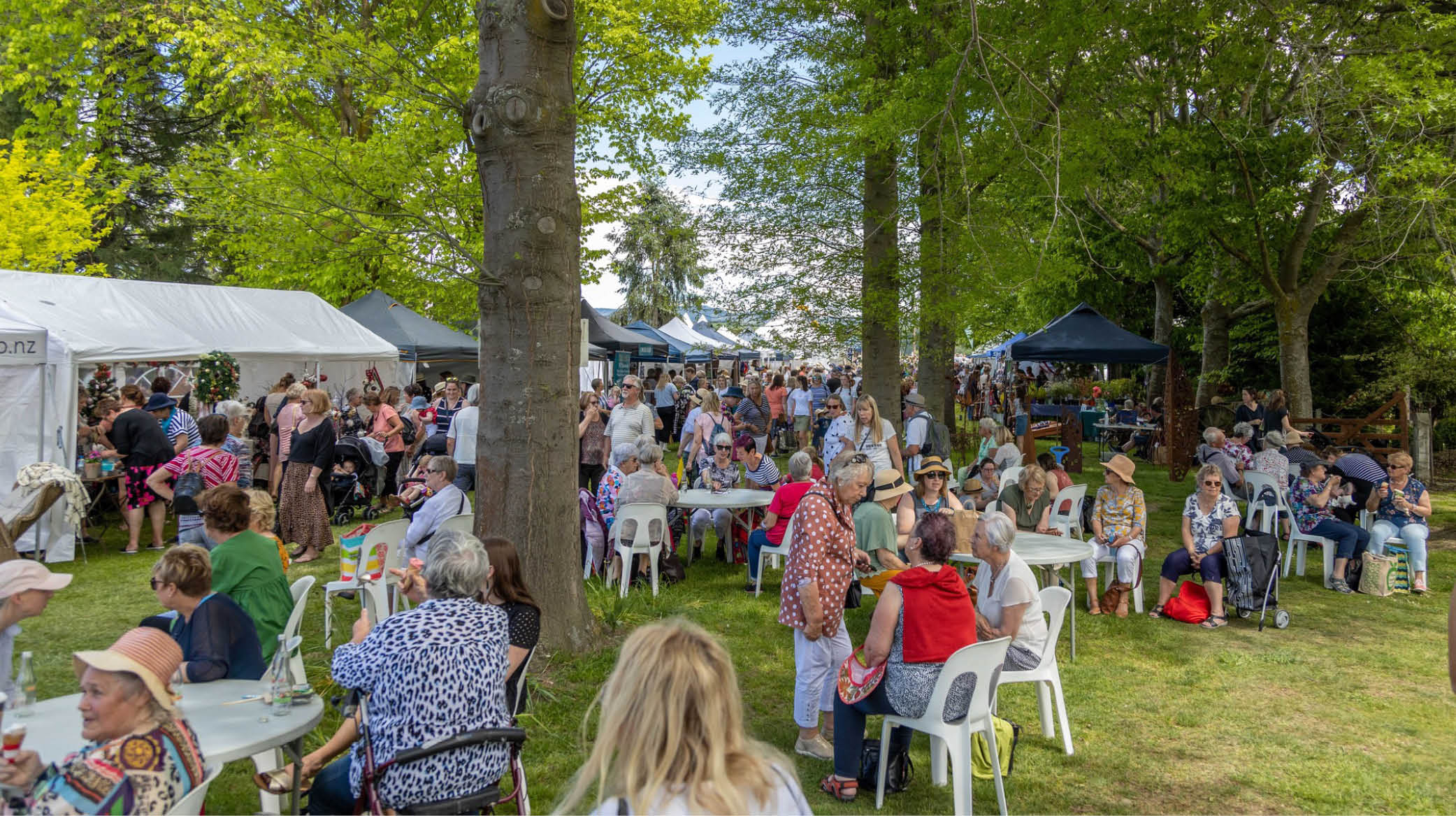 Geraldine Summer fete