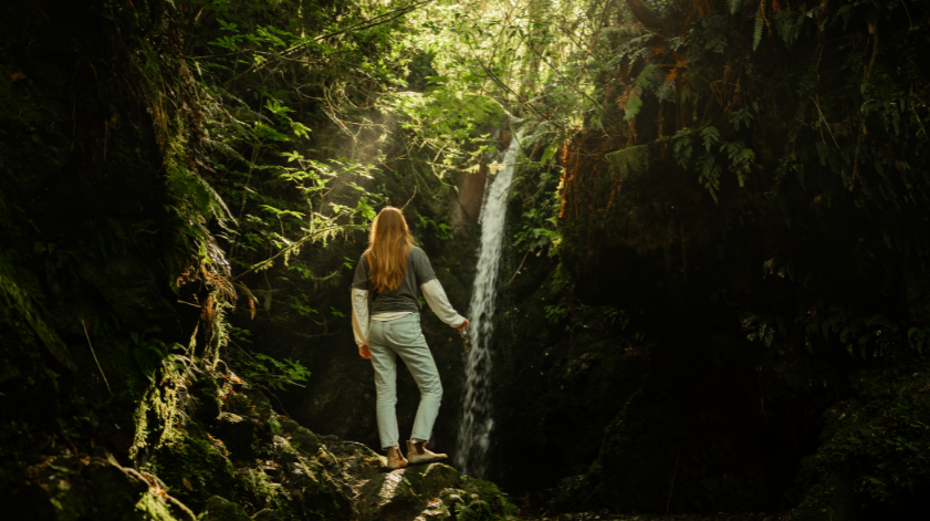 Emily Falls trail