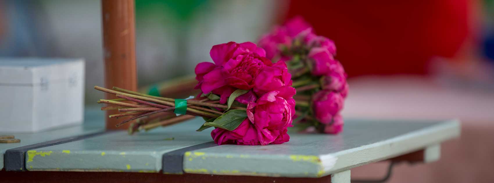 Market Peonies