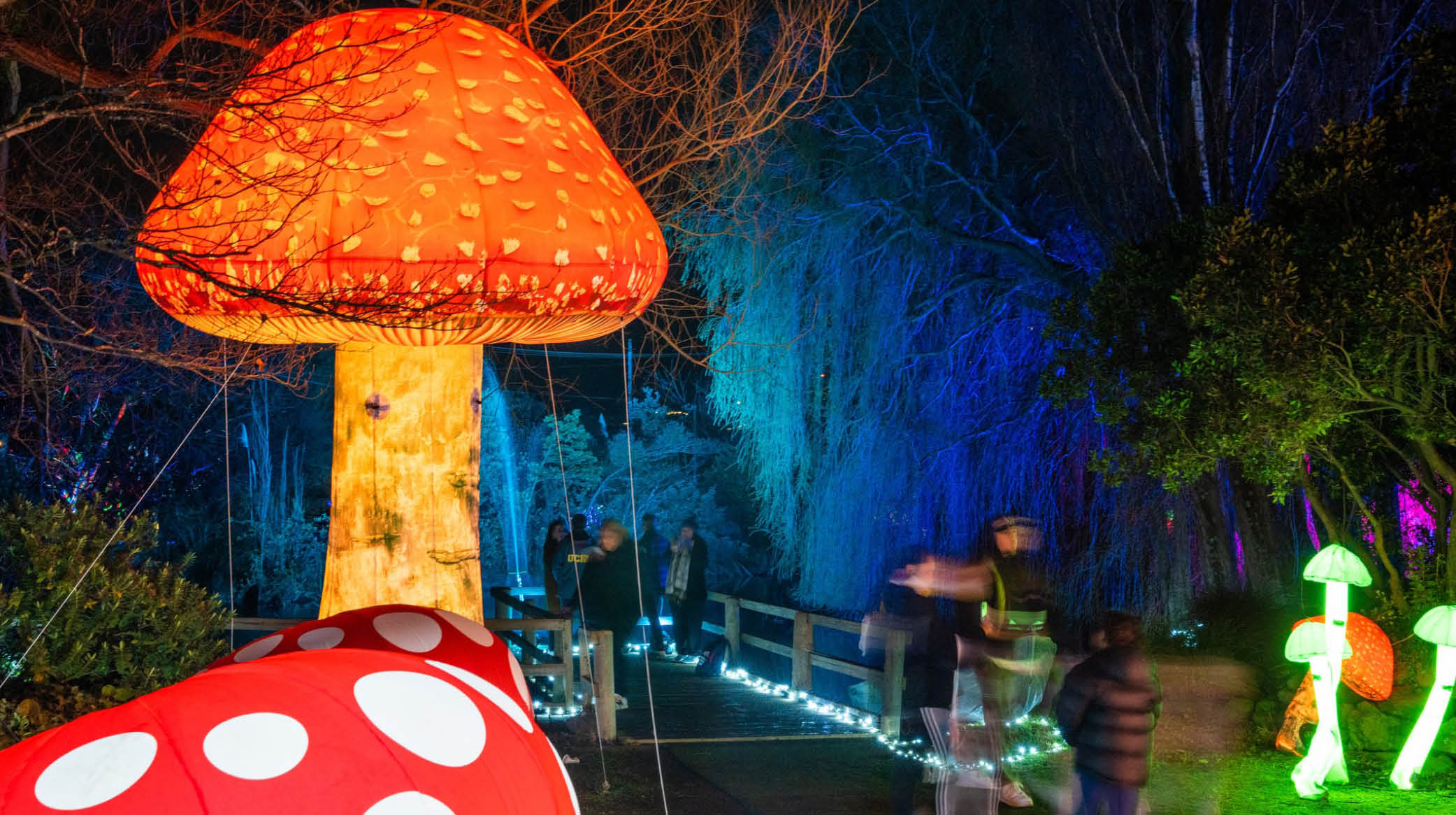 Giant mushrooms at Illluminate 